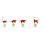 Evergreen AMI CAT fuldfoder til katte 7,5 kg 1