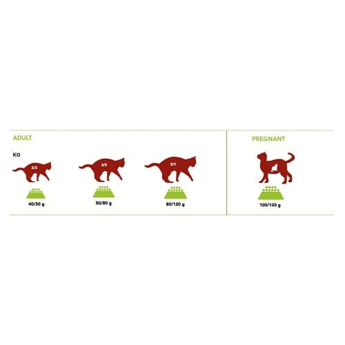 Evergreen AMI CAT fuldfoder til katte 7,5 kg