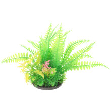 1X Duurzame Groene Nepplant Tropische Visomgeving