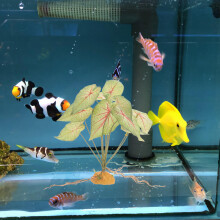 Plastic Aquariumplant Kunstplant Vis Tank Decor