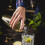 BARTENDER COCKTAIL SHAKER 750ml KLAUSBERG KB-7649 1