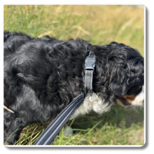 Skridsikker bomuldsline SORT - 10m, 82MM - hund 25-50kg