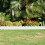 5St Plastic Tuinafscheiding Sierlijke Border Voor Bloembed 3