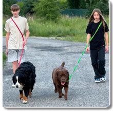 Justerbar skridsikker snor RØD - 7m, 76MM - hund 10-25kg