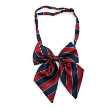 (A flower collar boy) Kid Striped Tie for School Graduation Boy Neckties Bow Tie for Kid Pre-tied Ties For Boy Pre-tied Neckties Uniform Tie