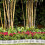 8St Decoratief Wit Plastic Tuinhek Voor Pad & Bloembed 8