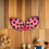 2pcs Foldable Ladybug Wings Ladybug Costume Accessory Insect Wings 8