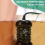 Ionic Foot Spa At Home And Cleanse - Ionic Foot Bath Machine, Detoxify Your From Hazardous(without basin) 3