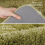 Fluffy Plush Bath Mat Super Absorbent Bathroom Floor Mat,Soft Microfiber Bathroom Carpet 5