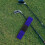 2-delige set golfswingtrainingshulpmiddelen: elastische armcorrectieband 5