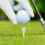 Plastic Golf Tees for Enhanced Durability and Minimized Side Rotation 6