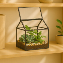 Glas-Terrarium in Hausform für Zimmerpflanzen