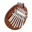 1Beginner Kalimba Met 8 Tonen Vingerpiano Compact 1