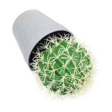 1Kunstmatige Cactus Potplant Mini Decor Voor Woonkamer