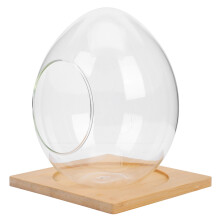 1Set Hydroponisch Terrarium Voor Sfeervolle Binnenhuisdecoratie