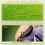 Kindermicroscoop, 1000X draagbare digitale microscoop HD draagbare mini USB-microscoopcamera compatibel 4