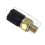 Falcon 50 (E5) Temperatursensor 1