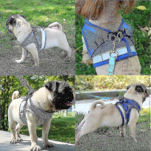 (55cm, Blue) Cat Harness, Cat Harness 2