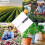 LCD Digital Soil Tester 0.00-10.00mS/cm Soil EC Meter Handheld EC/TEMP 2-in-1 Soil Detector ATC Temp Detection 7