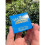 (Potpourri) Incense Matches 1