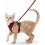 (S, red) Pink Adjustable Reflective Harness for Outdoor Cat Safety and Control 1