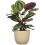 Runder Blumentopf - DEROMA - 231 - 7 L - Ø 24 cm - Braun 3