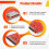 4X Painel de Toque LCD TFT SPI 240x320 de 2,8 Polegadas com Módulo de Porta Serial PBC ST7789V, Display Serial SPI de 2,8 Polegadas A 9