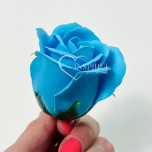 Blå sæberose