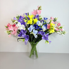 Kvist - Hvid skumfreesia 59 cm