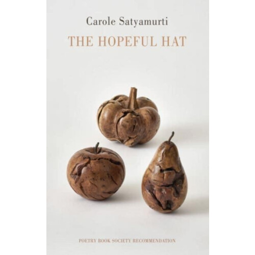 Hopeful Hat by Carole Satyamurti Paperback Book