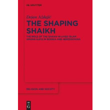 The Shaping Shaikh