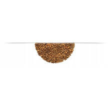 Allehånde korn - 100 g syltede krydderi