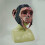 (Mono) Masque en latex de singe 2