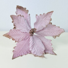 Juletræsblomster - Lyserød julestjerne Julestjerne på en 32 cm-pluke