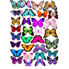 Kagevaffel BUTTERFLIES BUTTERFLIES mix wz1