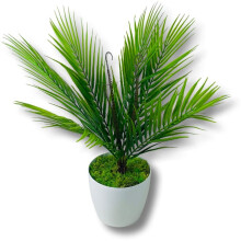 Potteblomst - Palmetræ 54 cm