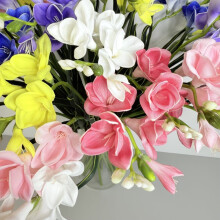 Kvist - Mørkelyserød skumfreesia 59 cm