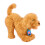 Mes amis flous Moji Labradoodle 1