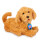 Mes amis flous Moji Labradoodle 2