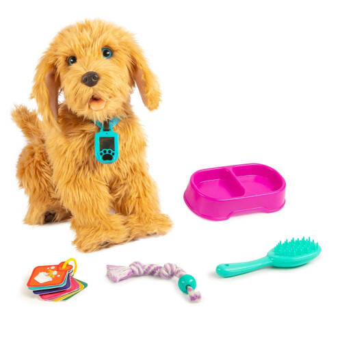 Mes amis flous Moji Labradoodle 2