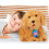 Mes amis flous Moji Labradoodle 5