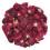 Red Rose Buds Corolla Ink - 50g spiselige blomster 1