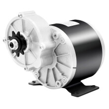 Motore Elettrico con Riduzione 'Ingranaggio da 24 V, Motore Elettrico da 250 W con Pignone A 9 Denti per Bici Elettriche, Moto, Scooter