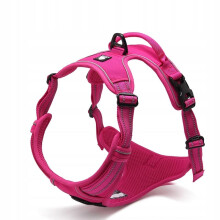 Truelove Miniature Hundesele Pink XS