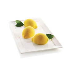 DELIZIA AL LIMONE LEMON yksiannos silikonimuotti