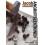 Angriffslektionen 2 ved Jacob Aagaard 1