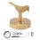 Brass Gold Animal Hook Solid Brass Coat Hook Door Back Hook Bathroom Kitchen Hooks Towel Rack(Bird) 1