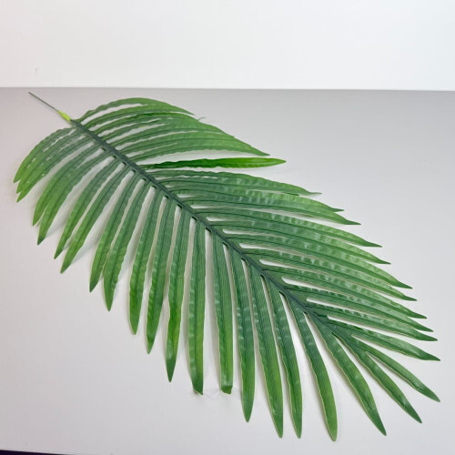 Store blade - Daddelpalme 81 cm