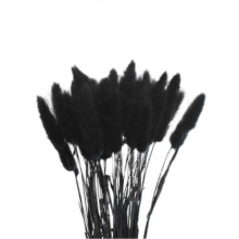 (I) 50pcs Dried Rabbit Tail Grass Flowers Artificial Plant Bouquets Wedding Party Home Desktop Decorative Flowers Eternal Flower
