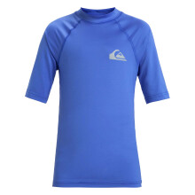 (8 Yrs, Nebulas Blue) Quiksilver Kids Everyday Short Sleeve UPF 50 Swimming Surfing Rash Vest Top